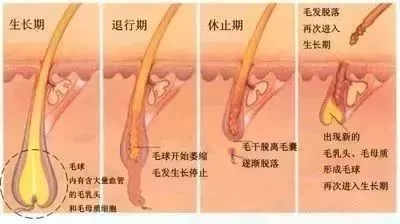 <a href='/suz/' target='_blank'><u>蘇州美萊</u></a>：反季脫毛優(yōu)惠，你值得擁有！