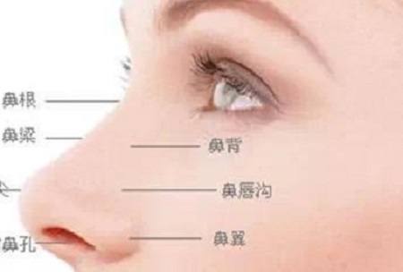 鼻綜合手術多少錢
