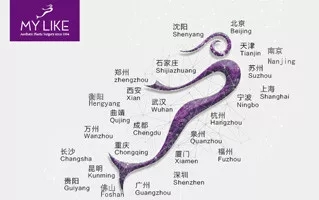 美萊21周年|杭州美萊五大活動，實力寵你！