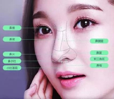 肋軟骨、耳軟骨...隆鼻材料有什么區(qū)別？怎么選擇？