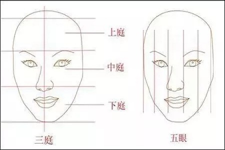 影響翹鼻較重要的地方。