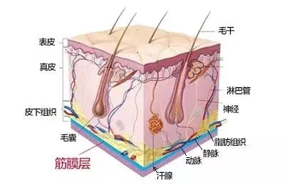 沒有誰能永遠(yuǎn)年輕，不老都是保養(yǎng)的早！