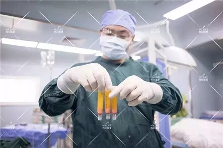 你討厭的脂肪，用在臉上就是寶貝！
