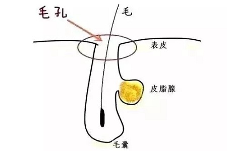 如何在炎熱的夏天，做清爽白凈的小姐姐？