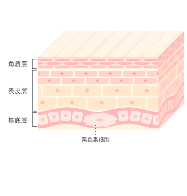 美萊實驗室：據(jù)統(tǒng)計90%的長斑都與夏天這一東西有關(guān)，你臉上的斑點是嗎？