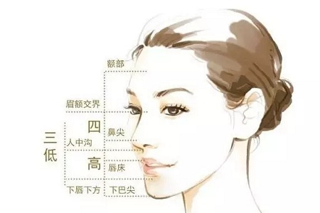 假體隆鼻的“高度”主要決定于哪些因素？